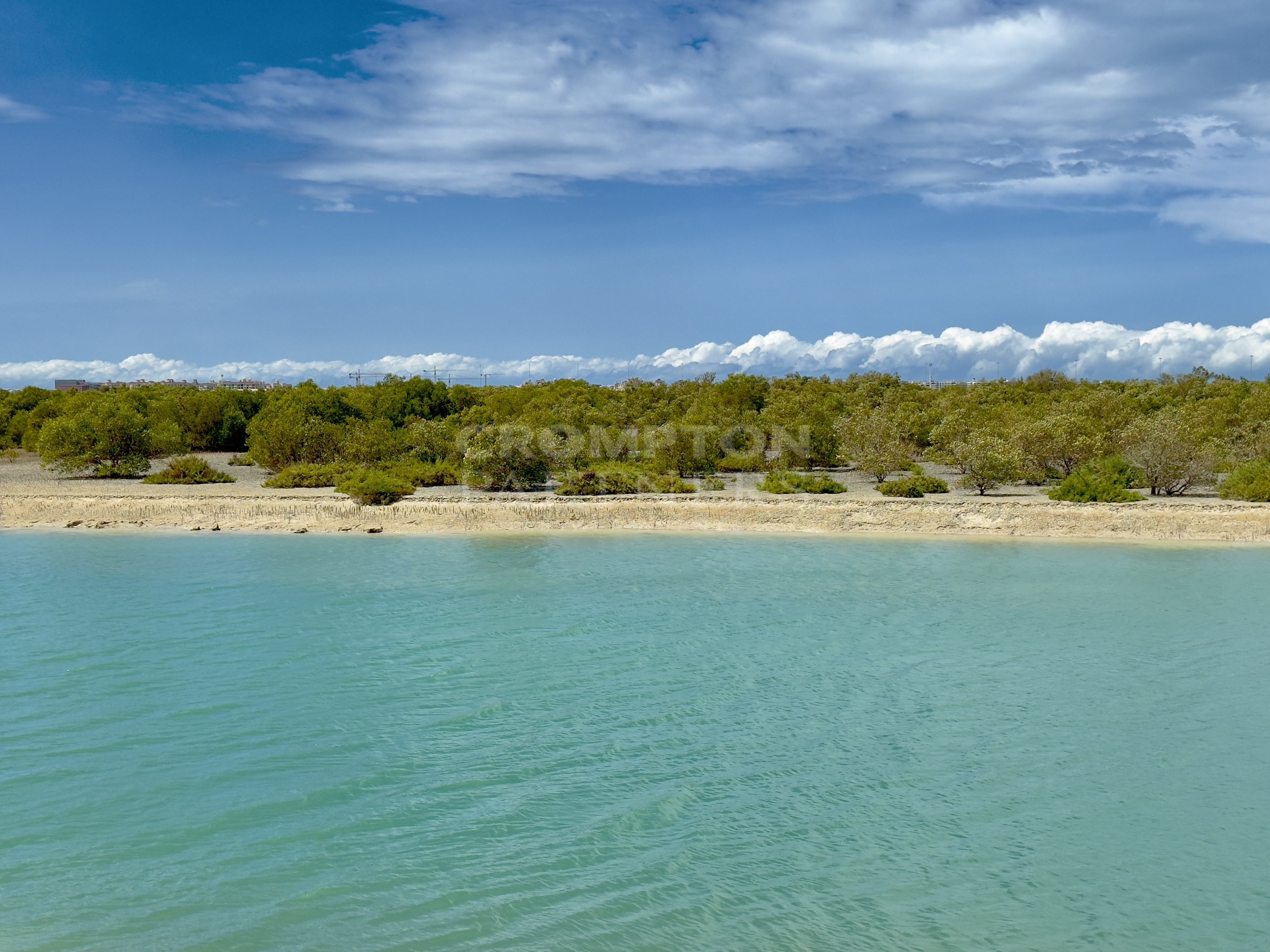 Mangrove View | Best Location | New and Spacious - Photo 3