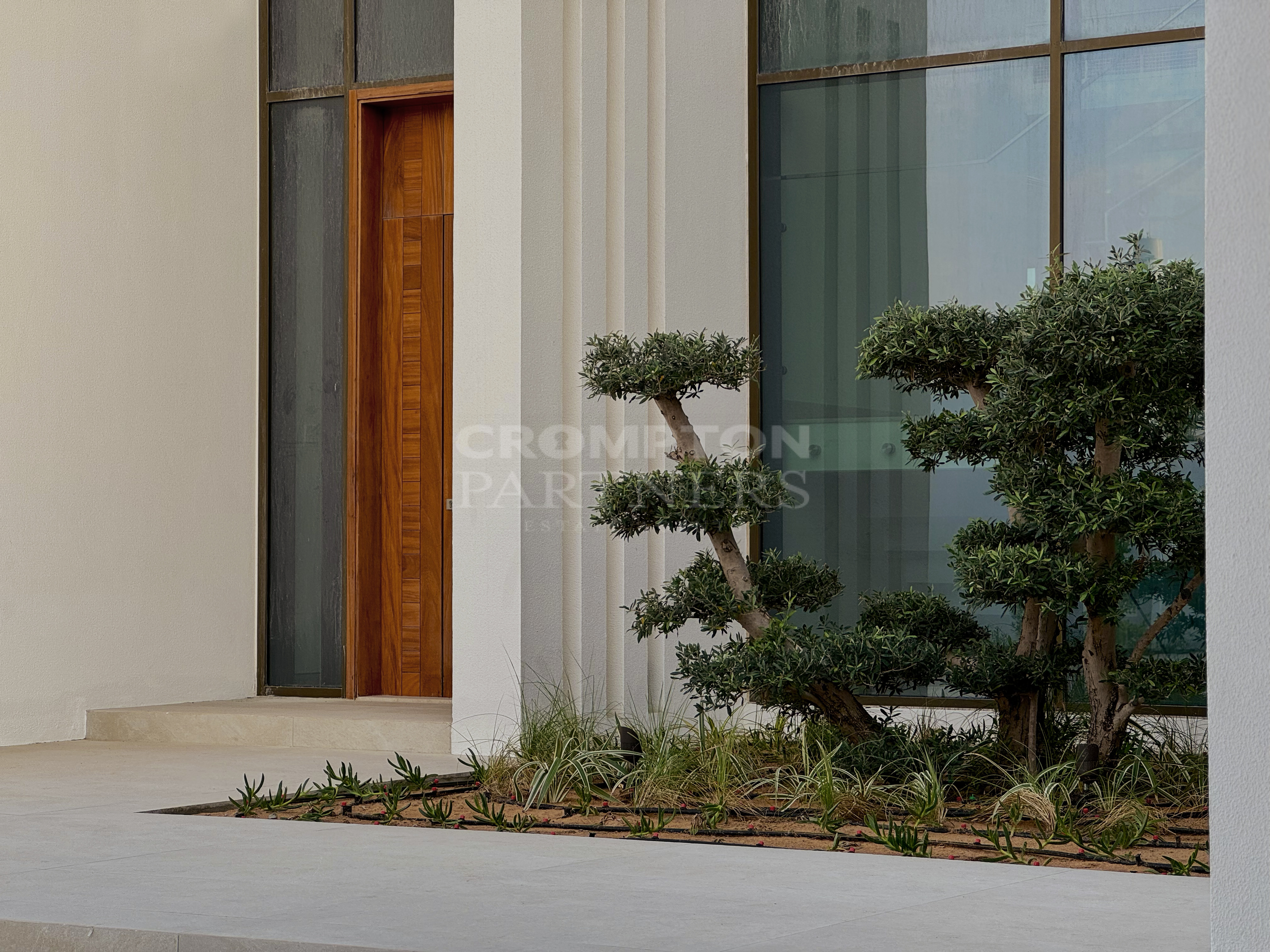 Pool and Landscape | One Of A Kind | New - Photo 3