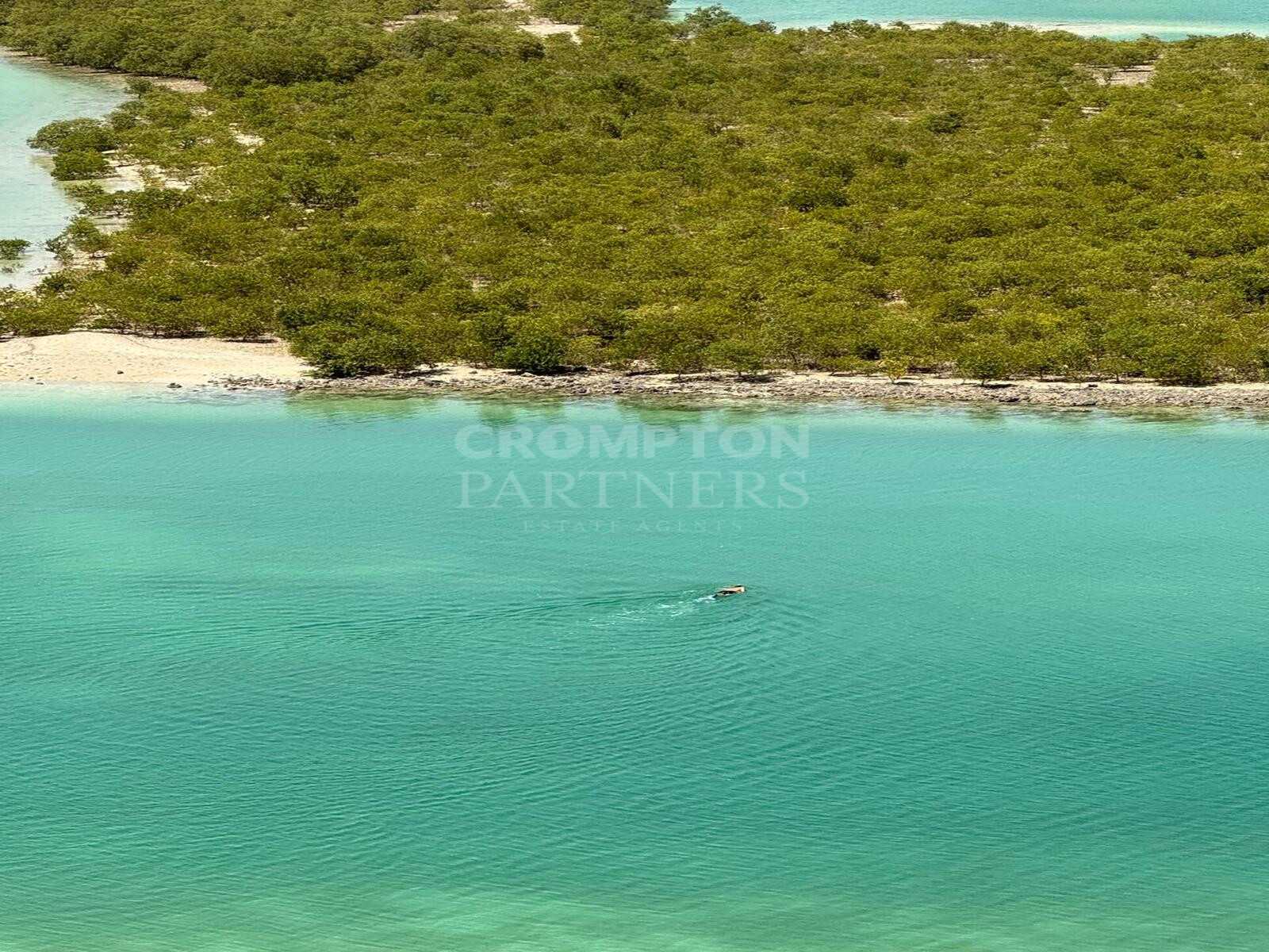 Corner 2BR+M | High Floor | Mangrove Views - Photo 2